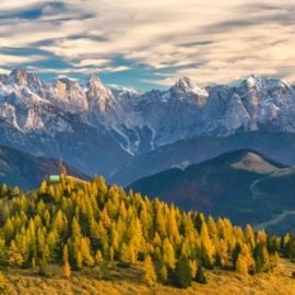 PHOTO CONTEST PER LEVISSIMA