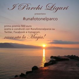 CONCORSO INTERNAZIONALE DI FOTOGRAFIA – FOTOGRAFARE I PARCHI