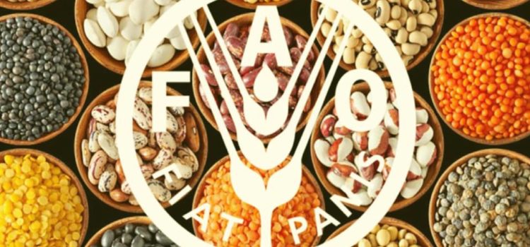 STAGE ALLA FAO NEL MONDO