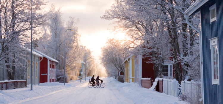 SERVIZIO VOLONTARIO EUROPEO IN FINLANDIA