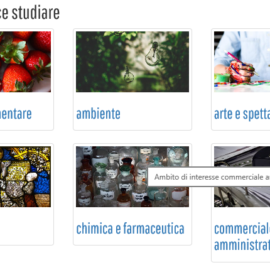 SITO WEB PER SCEGLIERE LE SCUOLE SUPERIORI