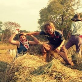 WWOOFING .. VIAGGIARE LAVORANDO IN FATTORIE BIOLOGICHE IN TUTTO IL MONDO CON VITTO E ALLOGGIO GRATUITI