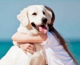 INCONTRI CON L’ANIMALITA’ A CASETTE ROSSE